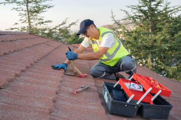 Best Roof Replacement Cost  in Henagar, AL